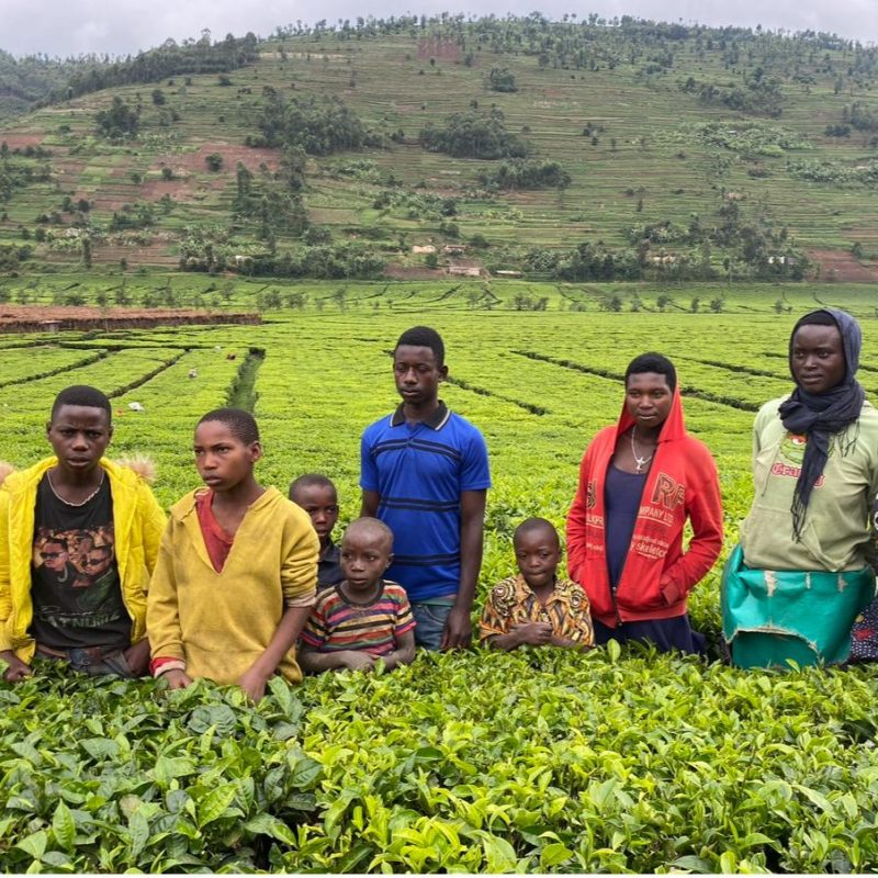 Charity work in Rwanda